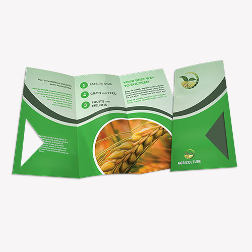 8.5x11 Brochures 2